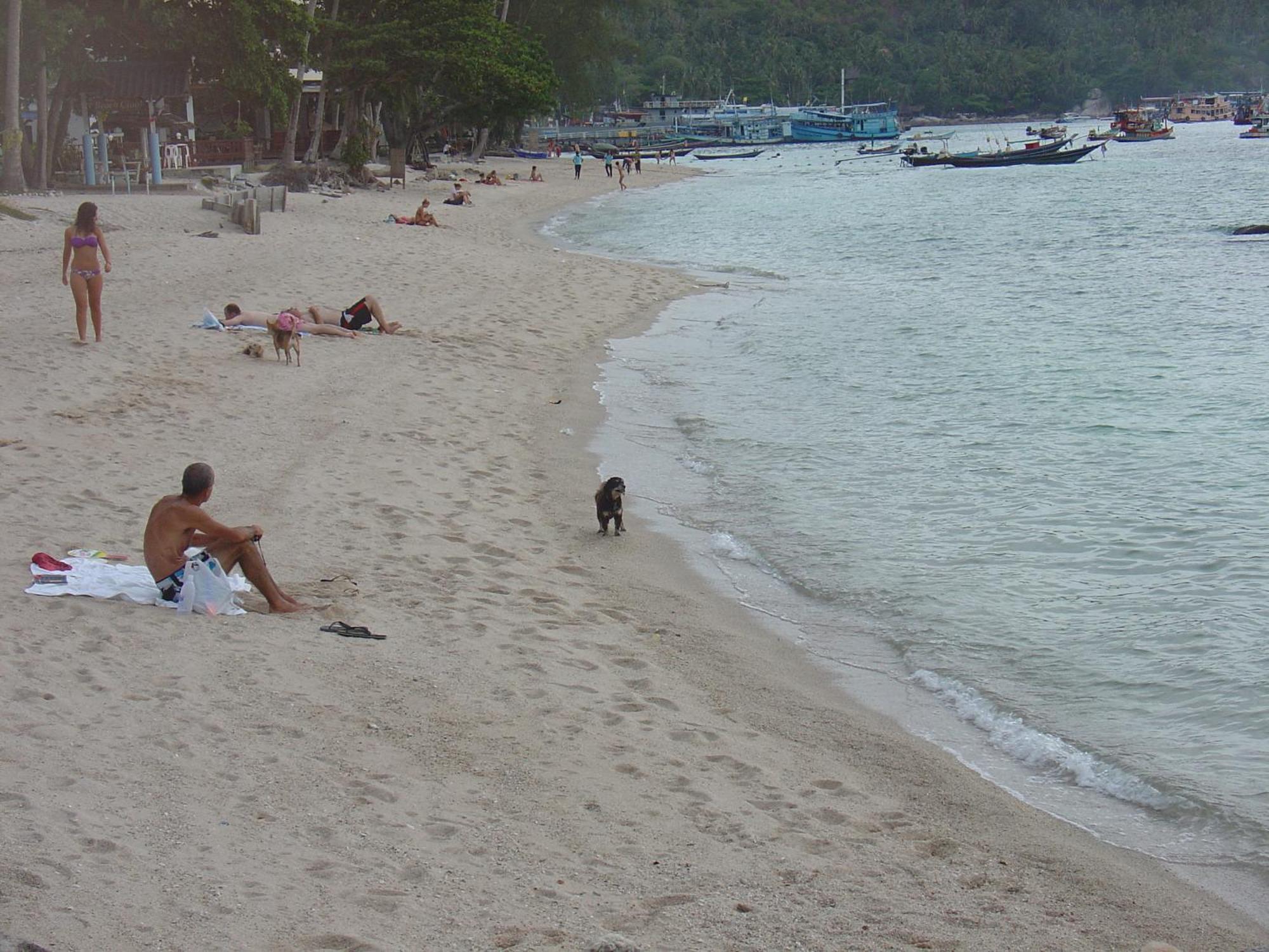 Queen Resort Ko Tao Zewnętrze zdjęcie